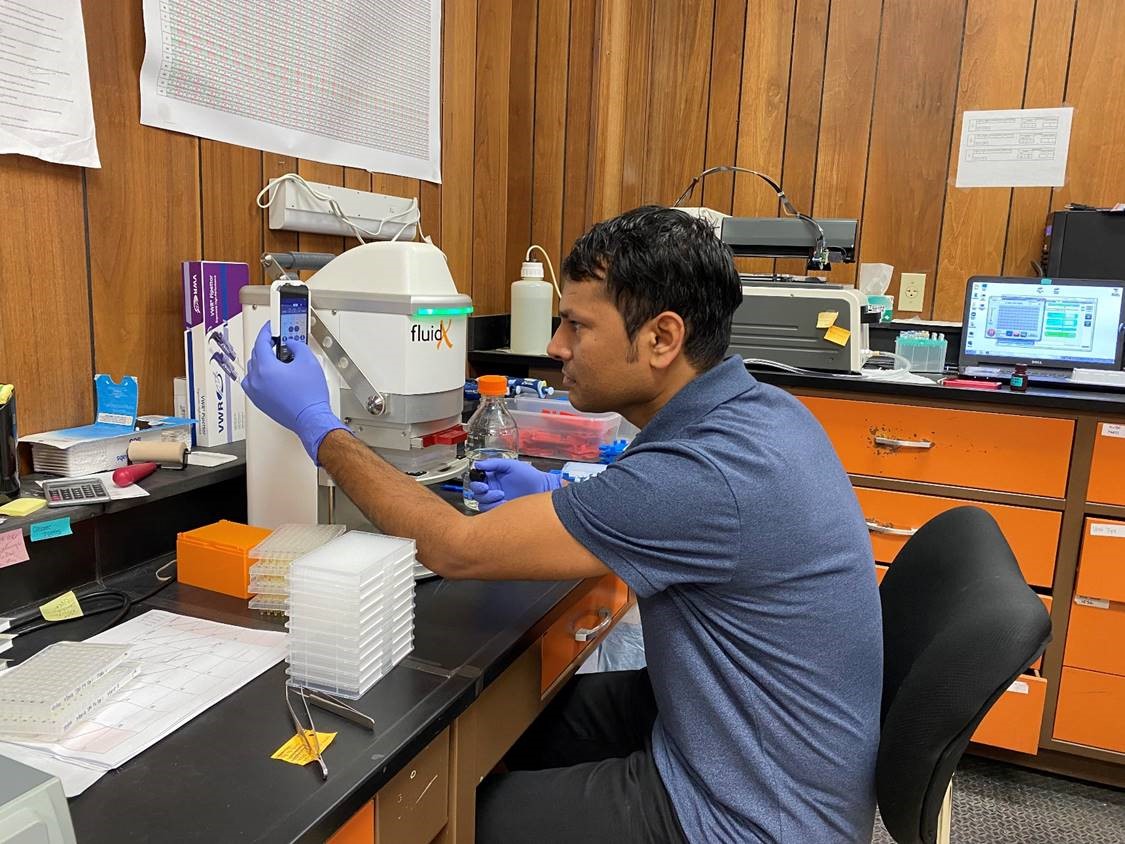Applied molecular breeding improves efficiency